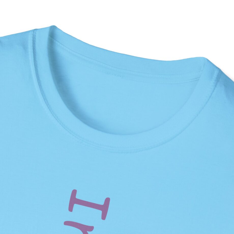 Qtcinderella Irrelevant Unisex Softstyle T-shirt