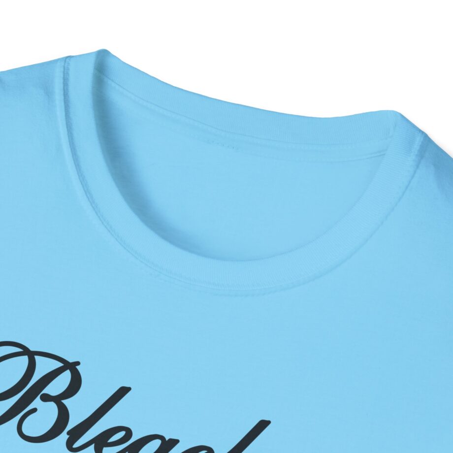 Bleachers Unisex Softstyle T-shirt