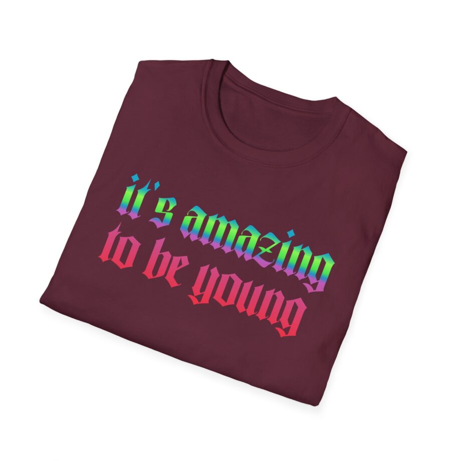 Fontaines It's Amazing To Be Young  Unisex Softstyle T-Shirt