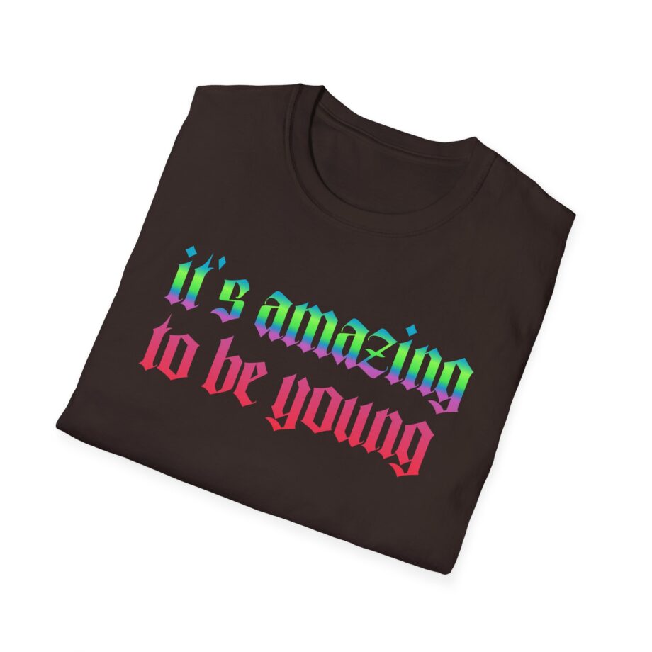 Fontaines It's Amazing To Be Young  Unisex Softstyle T-Shirt