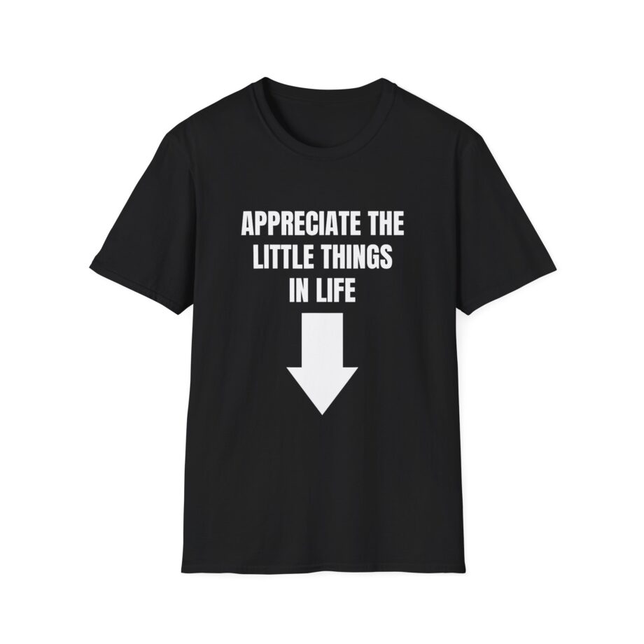 Jynxzi Appreciate the Little Things in Life Unisex Softstyle T-Shirt