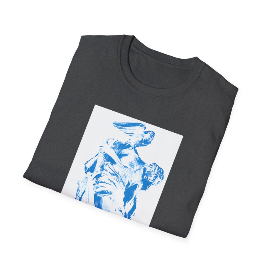 Fontaines D.C. Unisex Softstyle T-Shirt