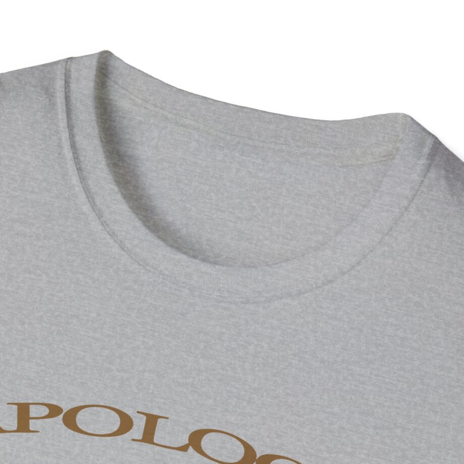 Wave to Earth Slchld 'apology' Na Tour  Unisex Softstyle T-Shirt