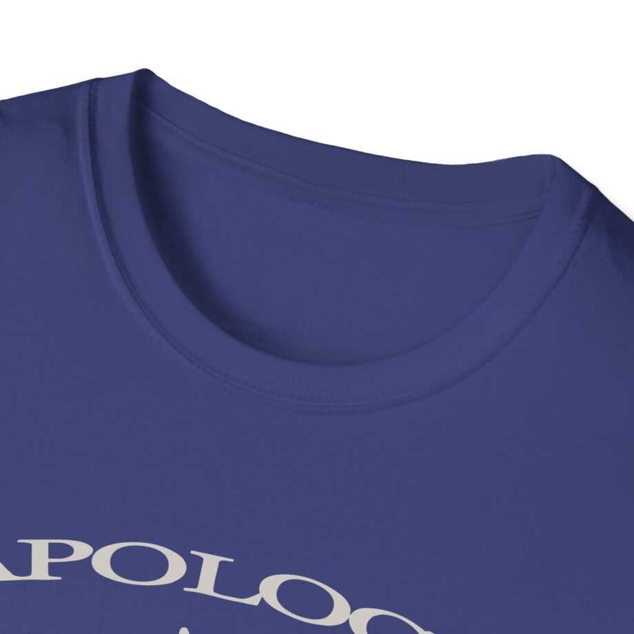 Wave to Earth Slchld 'apology' Na Tour  Unisex Softstyle T-Shirt