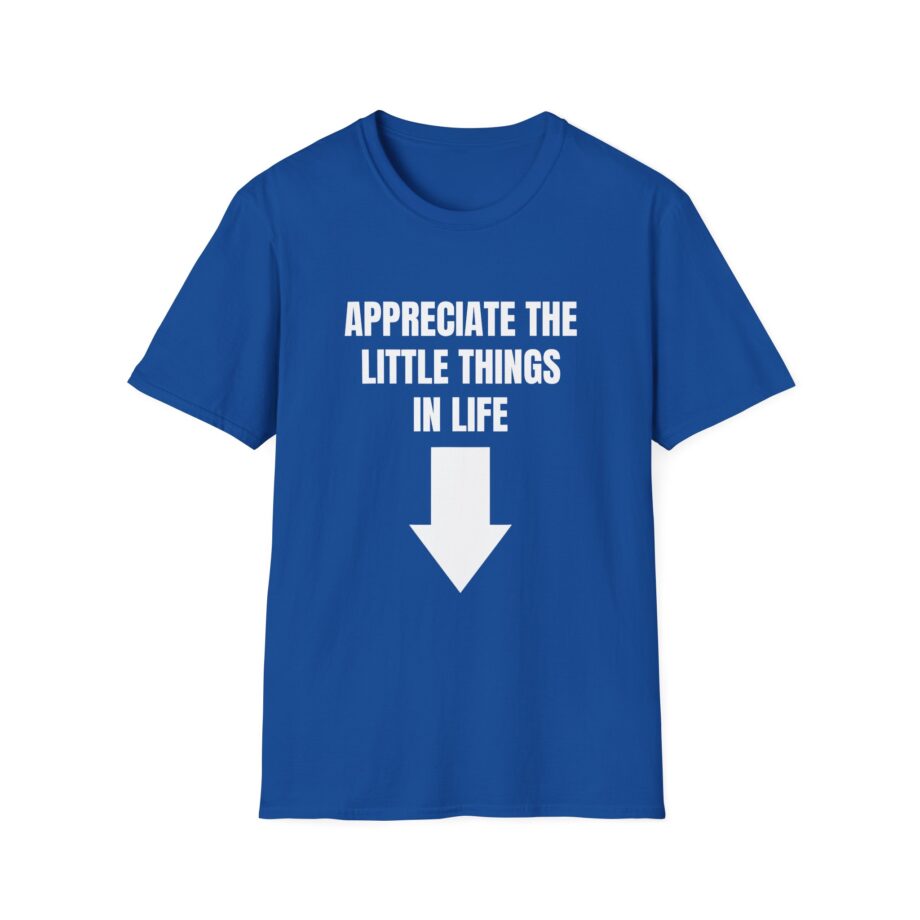 Jynxzi Appreciate the Little Things in Life Unisex Softstyle T-Shirt