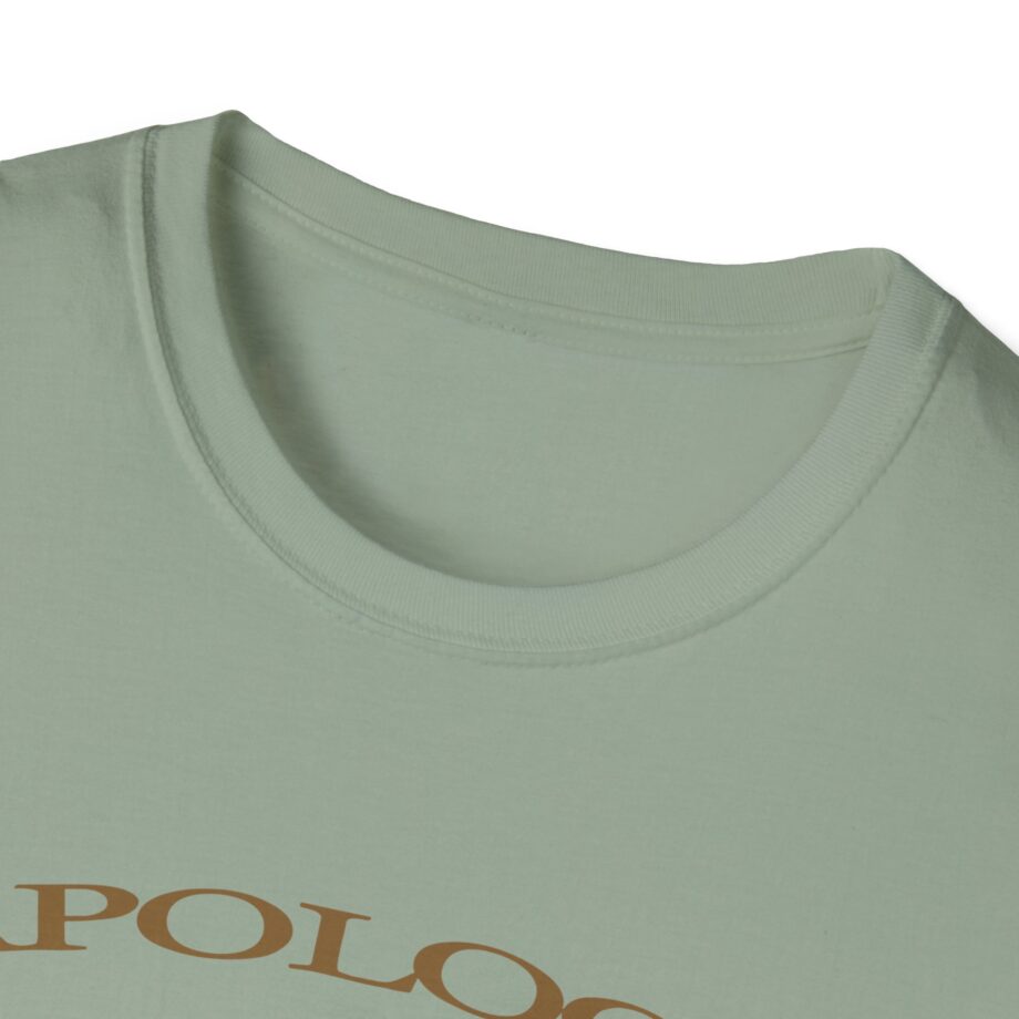 Wave to Earth Slchld 'apology' Na Tour  Unisex Softstyle T-Shirt