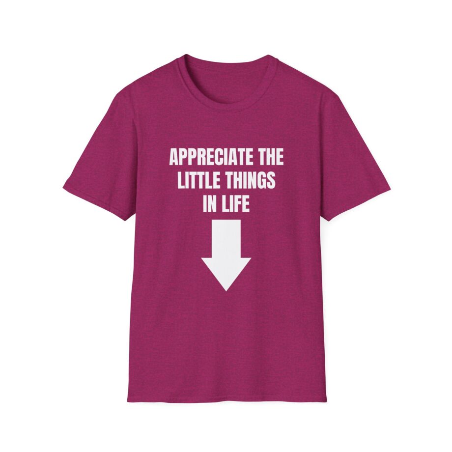 Jynxzi Appreciate the Little Things in Life Unisex Softstyle T-Shirt