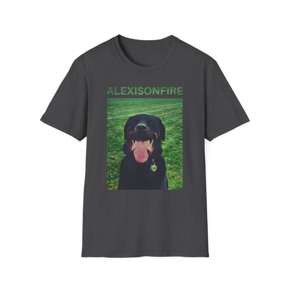 Alexisonfire Brixton Unisex Softstyle T-shirt