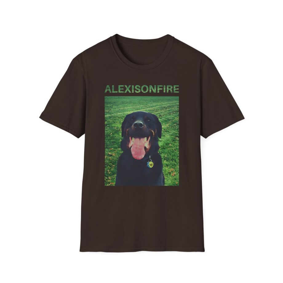 Alexisonfire Brixton Unisex Softstyle T-shirt