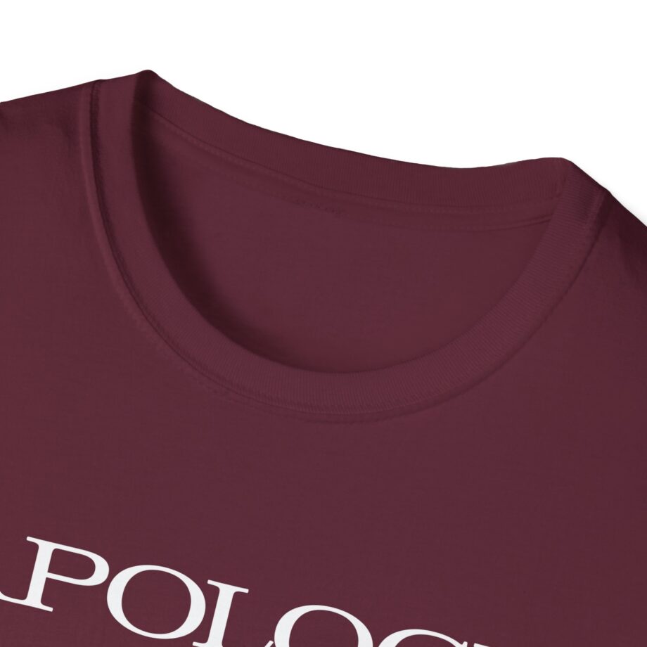 Wave to Earth Slchld 'apology' Na Tour Unisex Softstyle T-Shirt