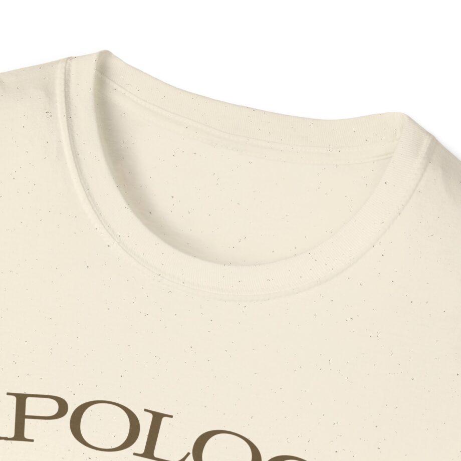 Wave to Earth Slchld 'apology' Na Tour Unisex Softstyle T-Shirt