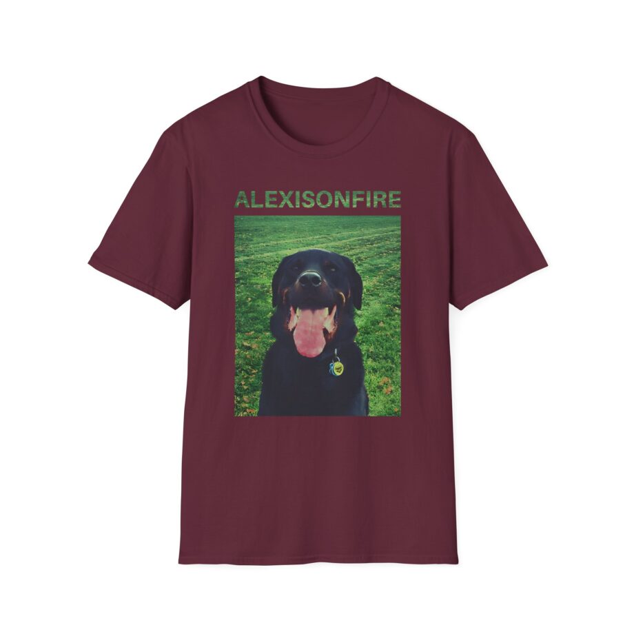 Alexisonfire Brixton Unisex Softstyle T-shirt