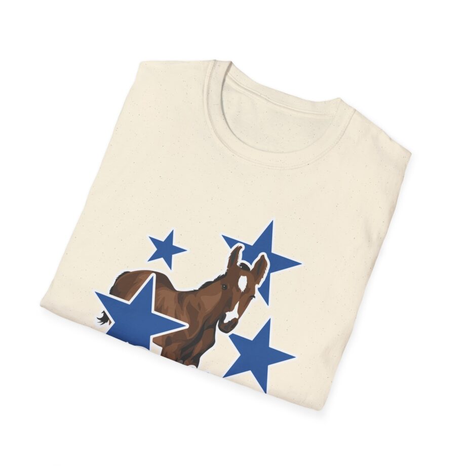 Katie Van Slyke Dallas Unisex Softstyle T-shirt