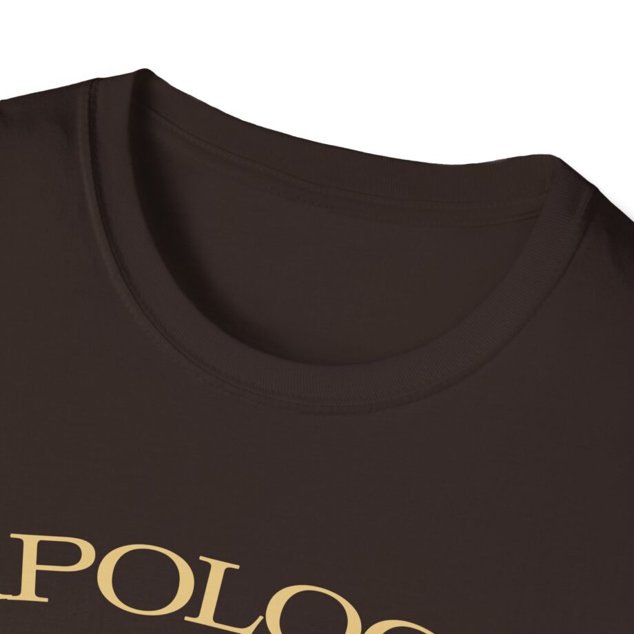 Wave to Earth Slchld 'apology' Na Tour Unisex Softstyle T-Shirt