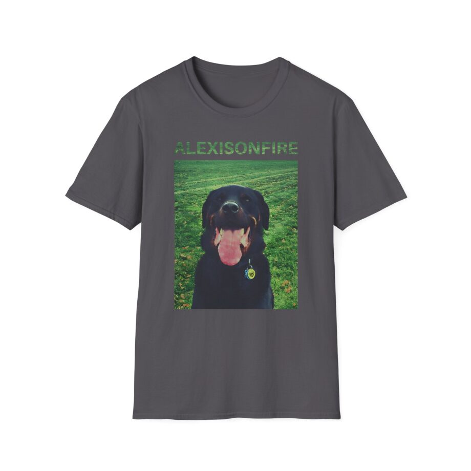 Alexisonfire Brixton Unisex Softstyle T-shirt