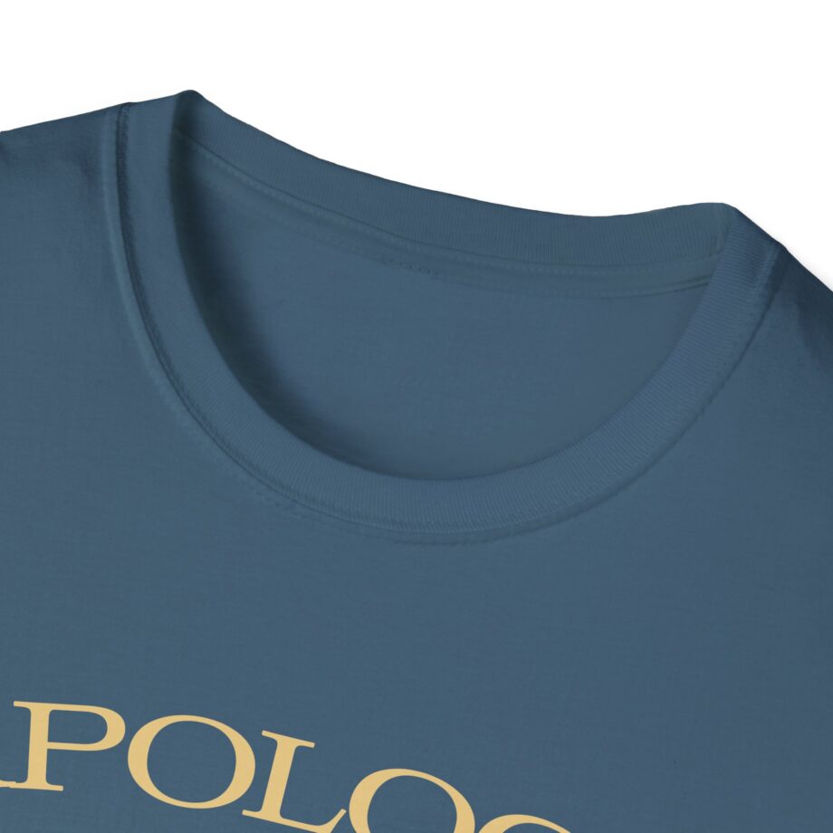 Wave to Earth Slchld 'apology' Na Tour Unisex Softstyle T-Shirt