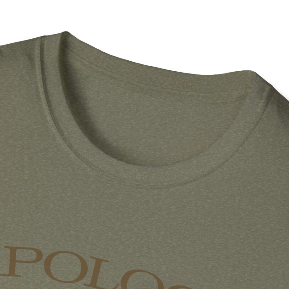 Wave to Earth Slchld 'apology' Na Tour Unisex Softstyle T-Shirt
