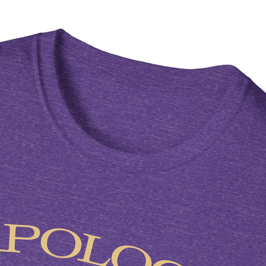 Wave to Earth Slchld 'apology' Na Tour Unisex Softstyle T-Shirt
