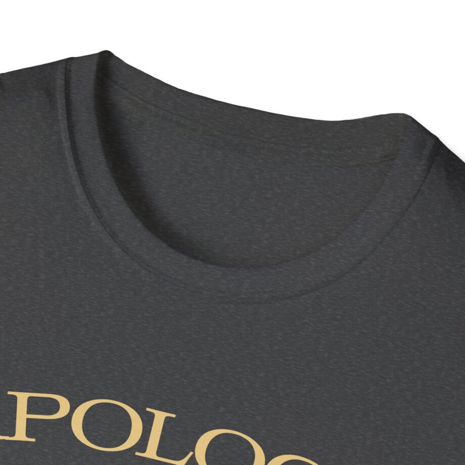 Wave to Earth Slchld 'apology' Na Tour Unisex Softstyle T-Shirt