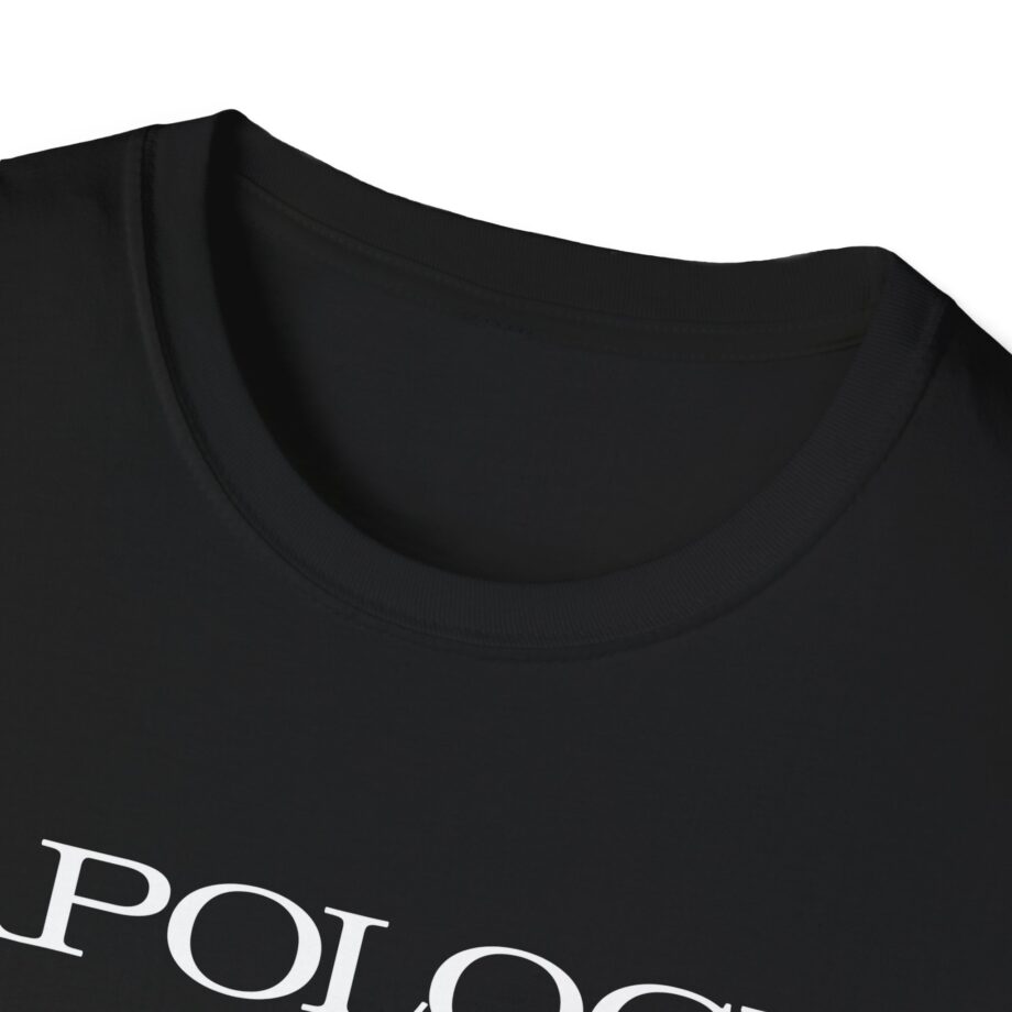 Wave to Earth Slchld 'apology' Na Tour Unisex Softstyle T-Shirt
