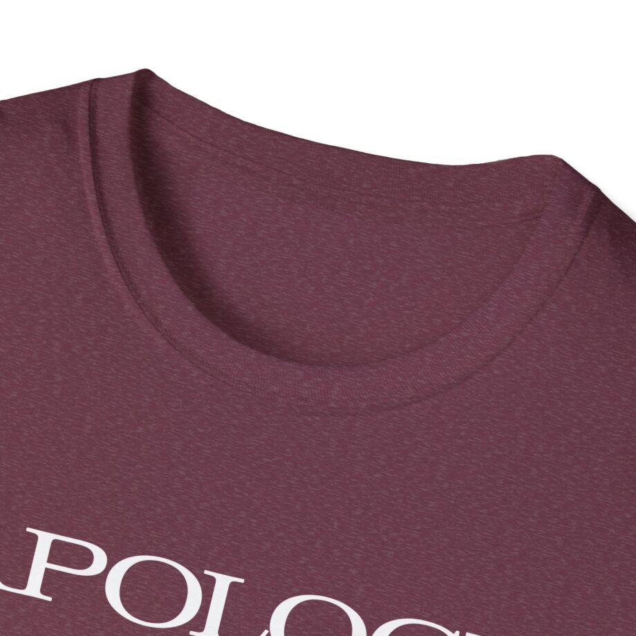 Wave to Earth Slchld 'apology' Na Tour Unisex Softstyle T-Shirt