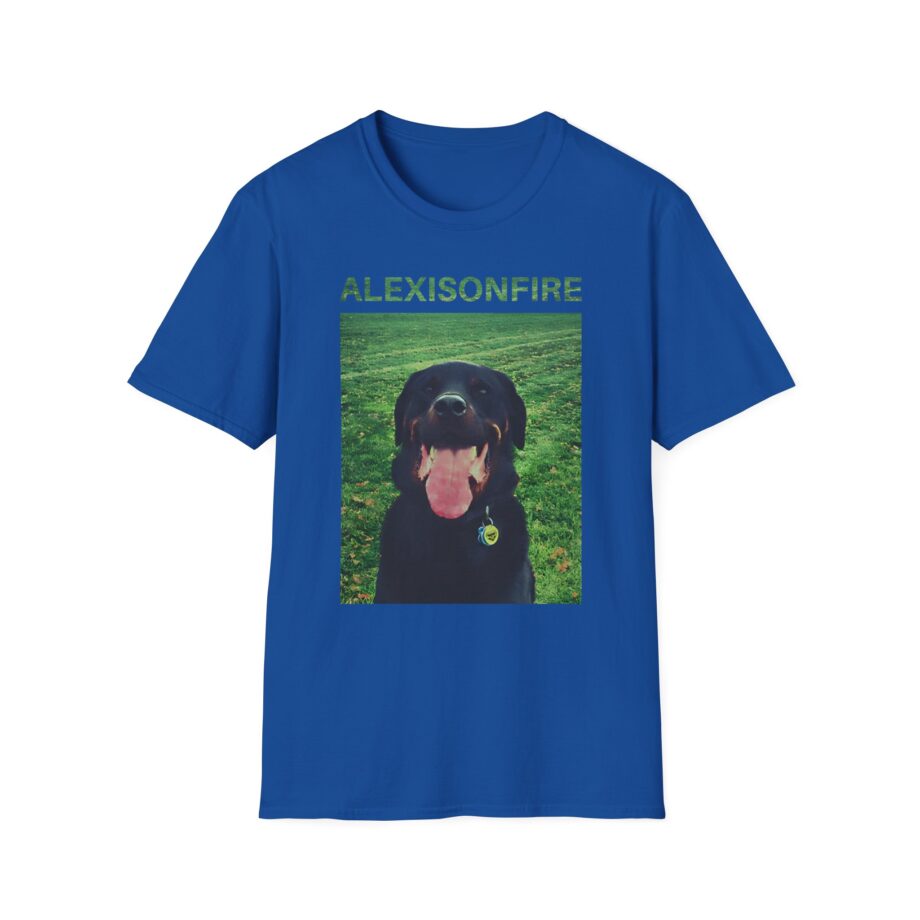 Alexisonfire Brixton Unisex Softstyle T-shirt