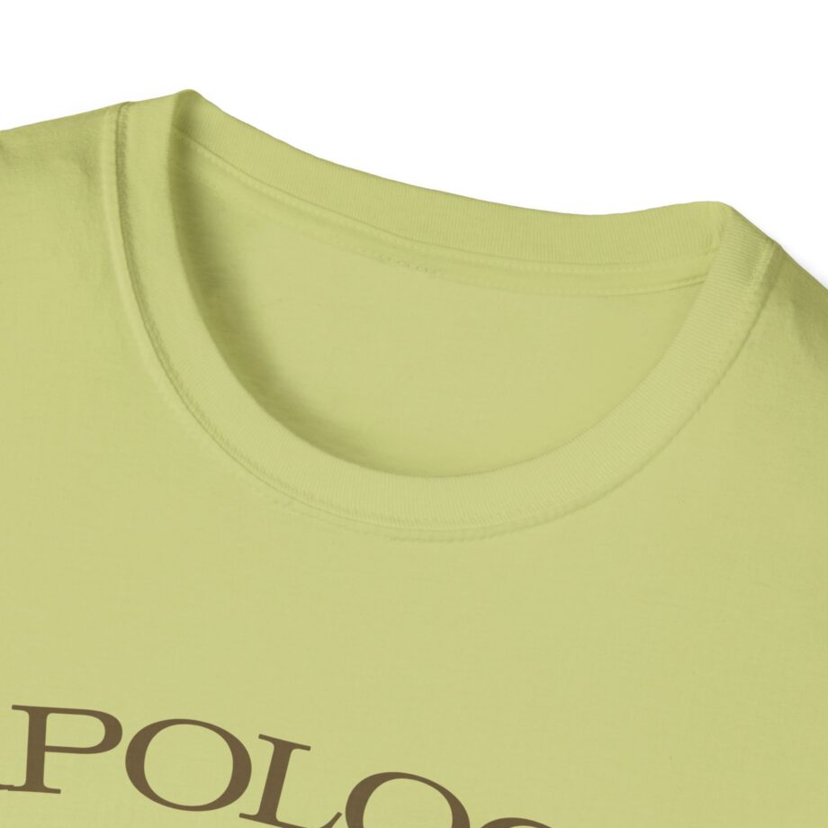 Wave to Earth Slchld 'apology' Na Tour Unisex Softstyle T-Shirt