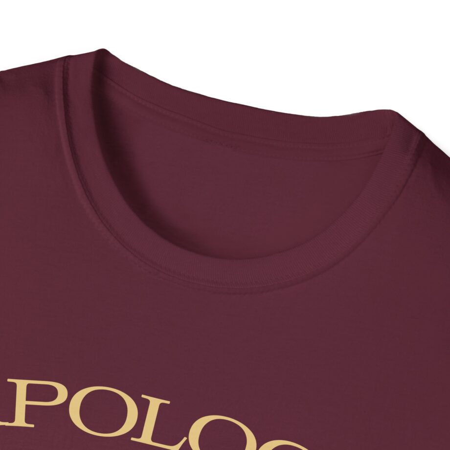 Wave to Earth Slchld 'apology' Na Tour Unisex Softstyle T-Shirt