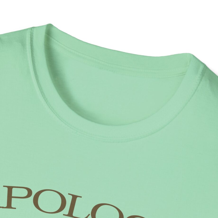 Wave to Earth Slchld 'apology' Na Tour Unisex Softstyle T-Shirt