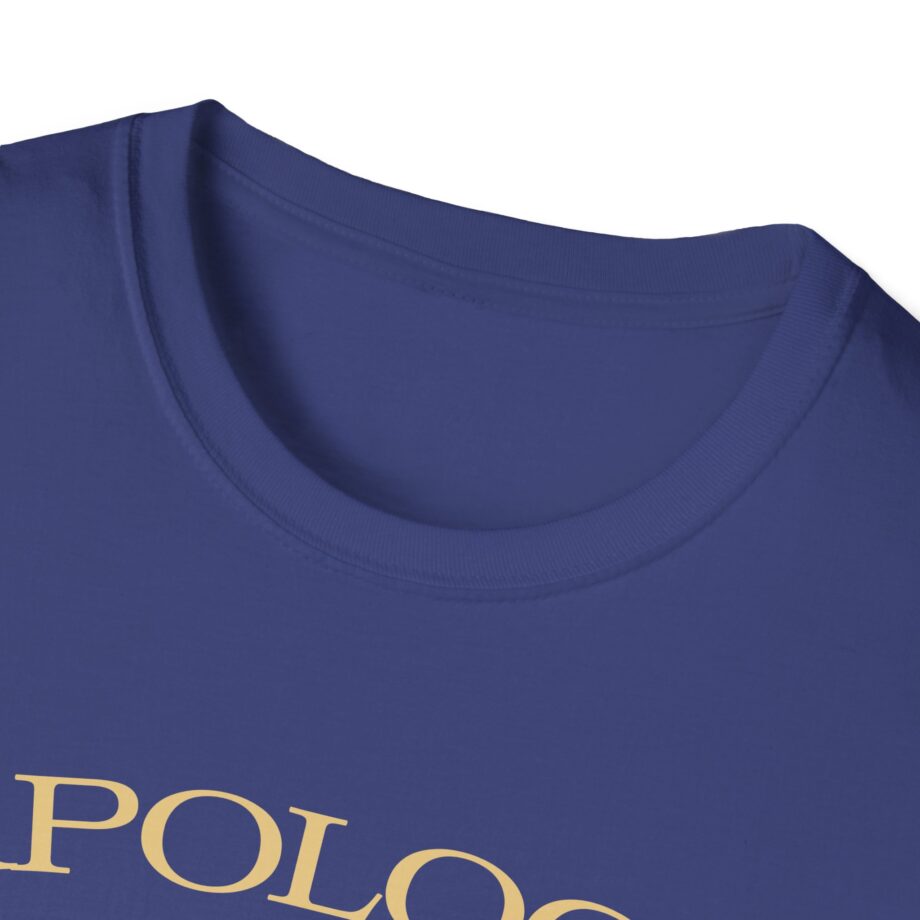 Wave to Earth Slchld 'apology' Na Tour Unisex Softstyle T-Shirt