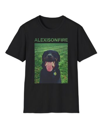 Alexisonfire Brixton Unisex Softstyle T-shirt