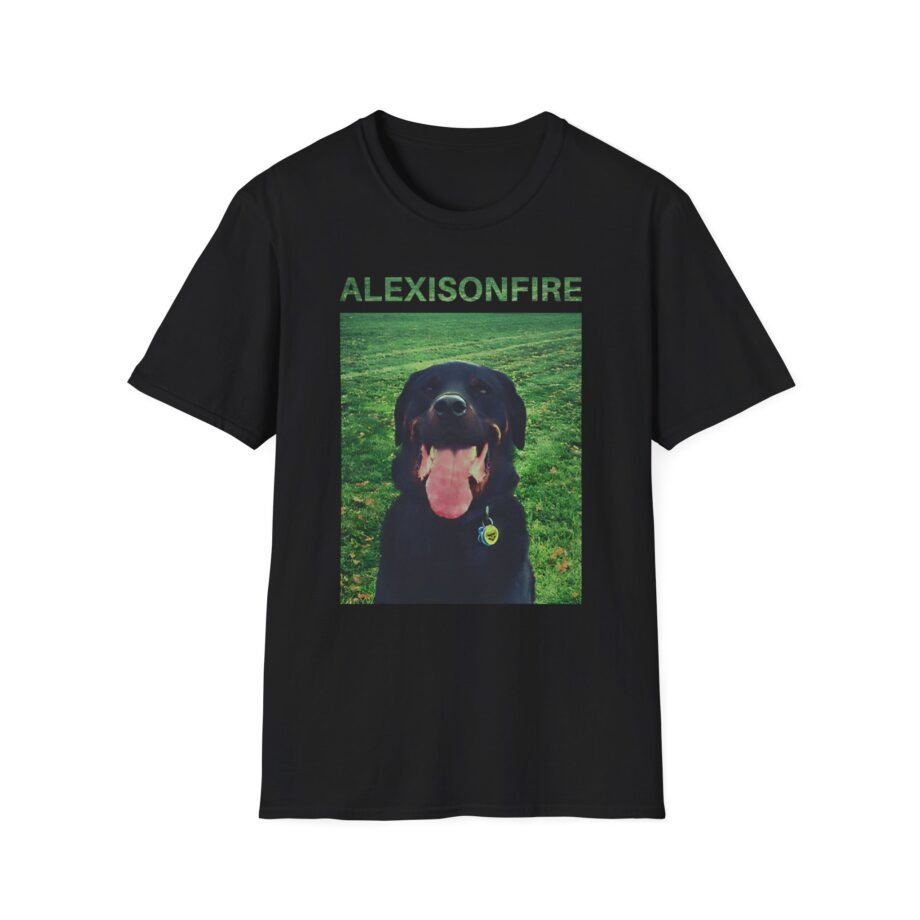 Alexisonfire Brixton Unisex Softstyle T-shirt