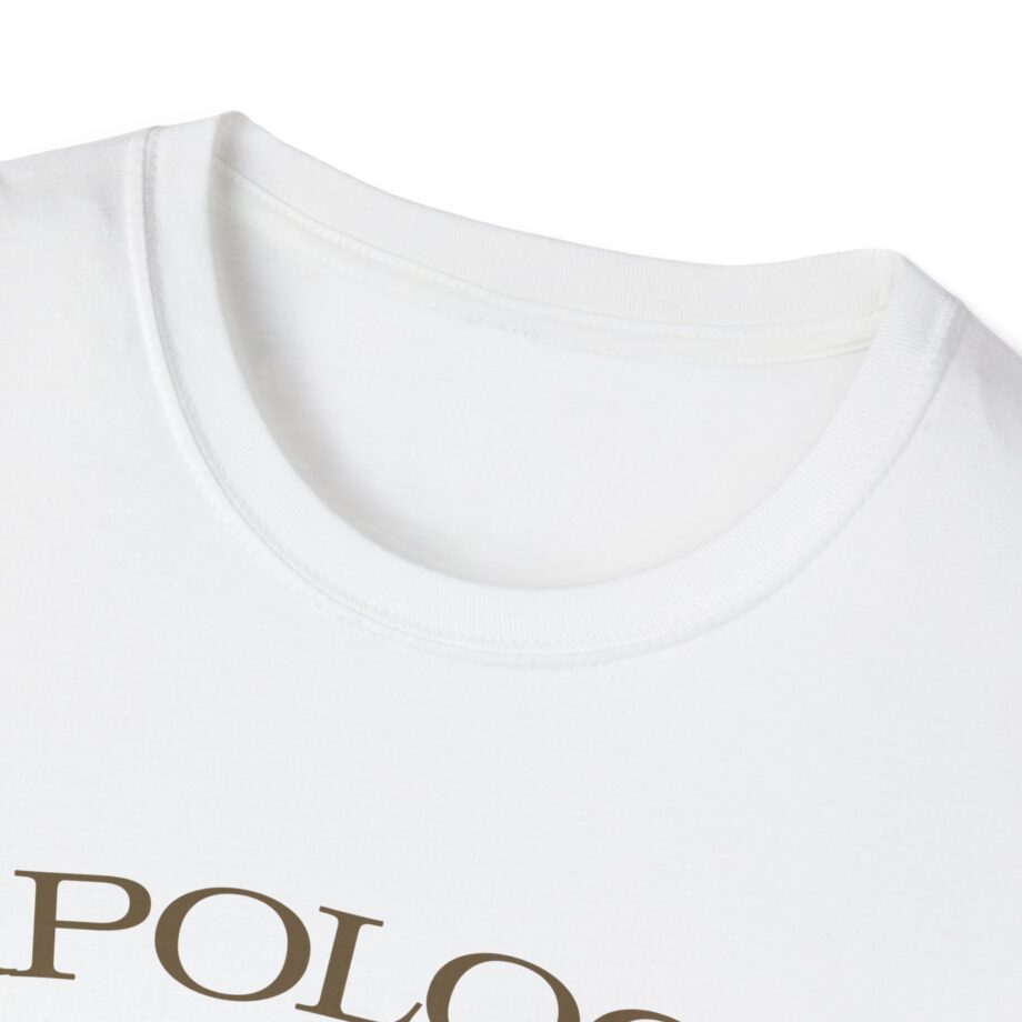 Wave to Earth Slchld 'apology' Na Tour Unisex Softstyle T-Shirt