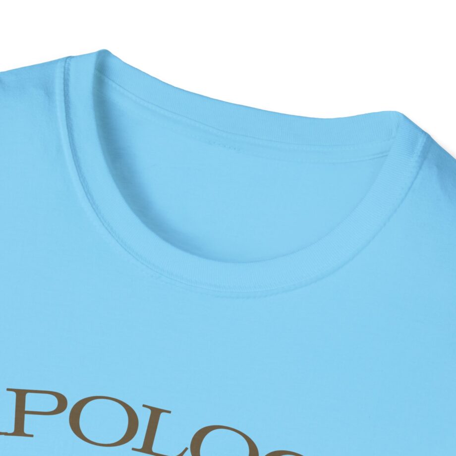 Wave to Earth Slchld 'apology' Na Tour Unisex Softstyle T-Shirt