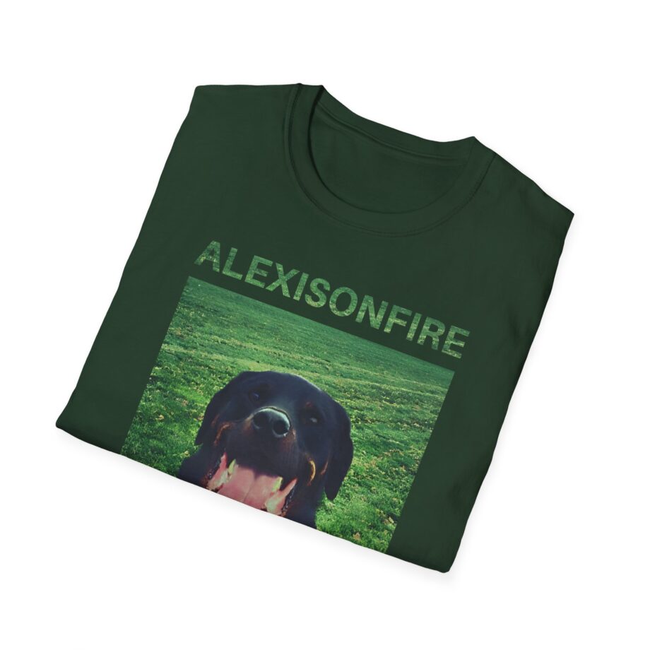Alexisonfire Brixton Unisex Softstyle T-shirt