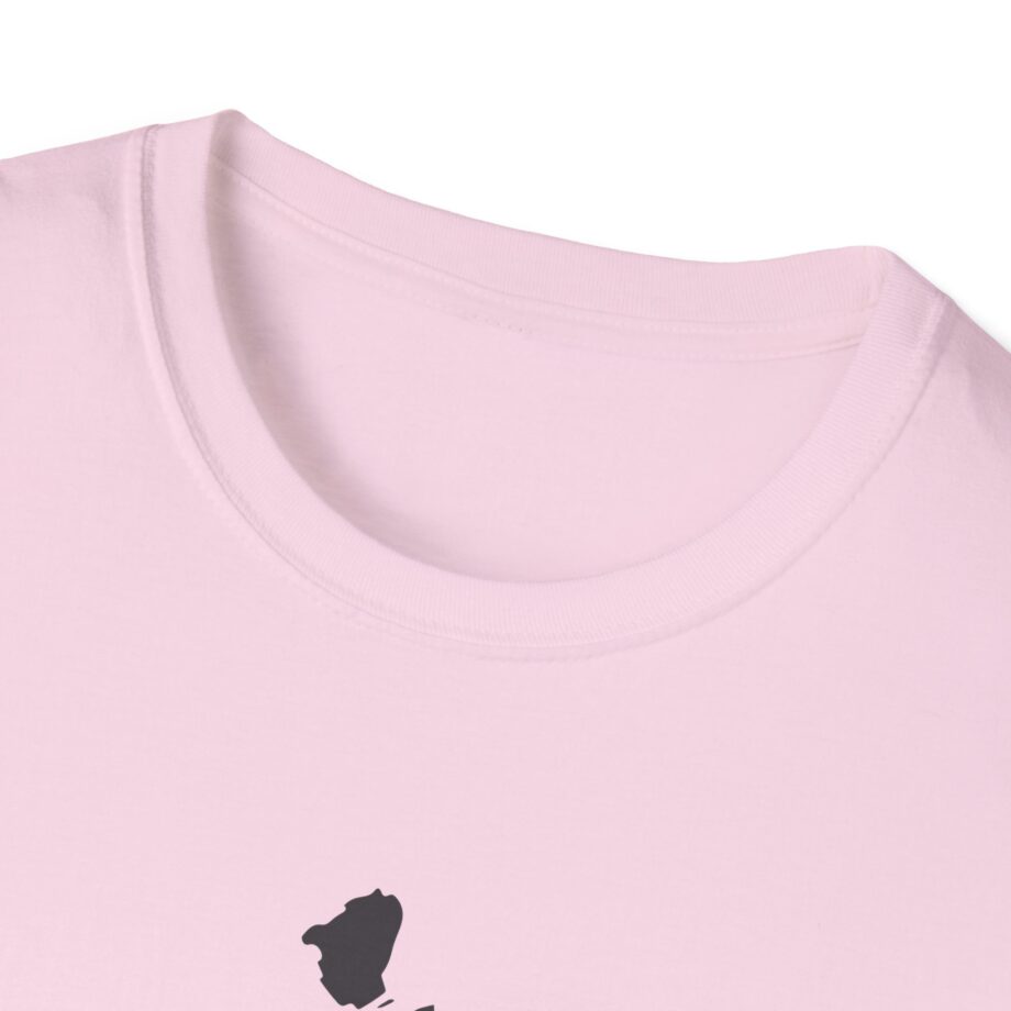 Raye M21cb Graffiti Album Unisex Softstyle T-Shirt