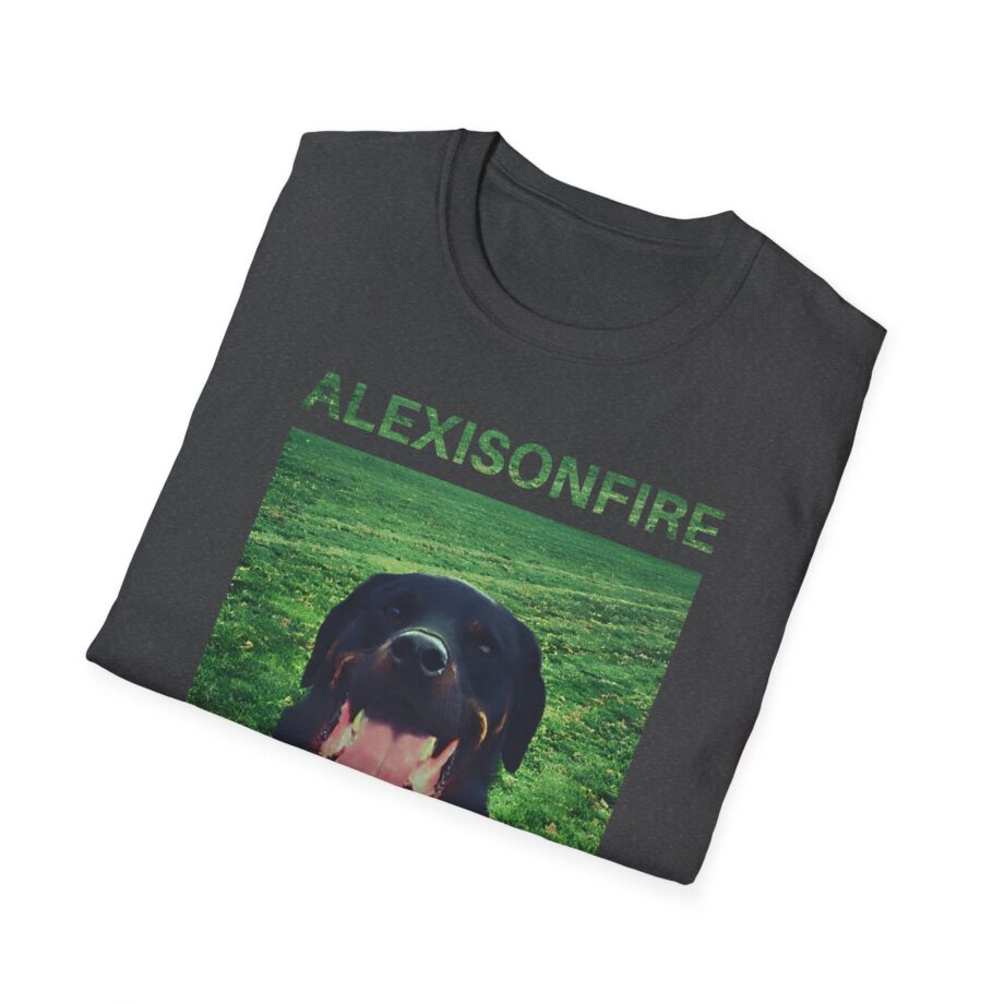 Alexisonfire Brixton Unisex Softstyle T-shirt