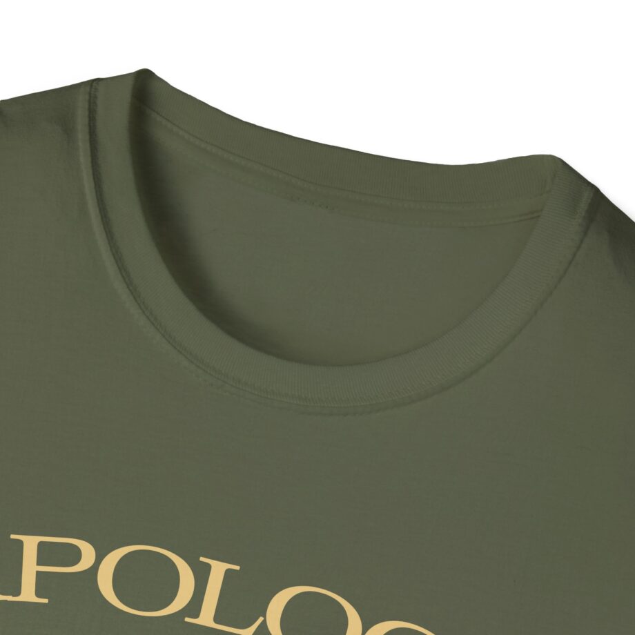 Wave to Earth Slchld 'apology' Na Tour Unisex Softstyle T-Shirt