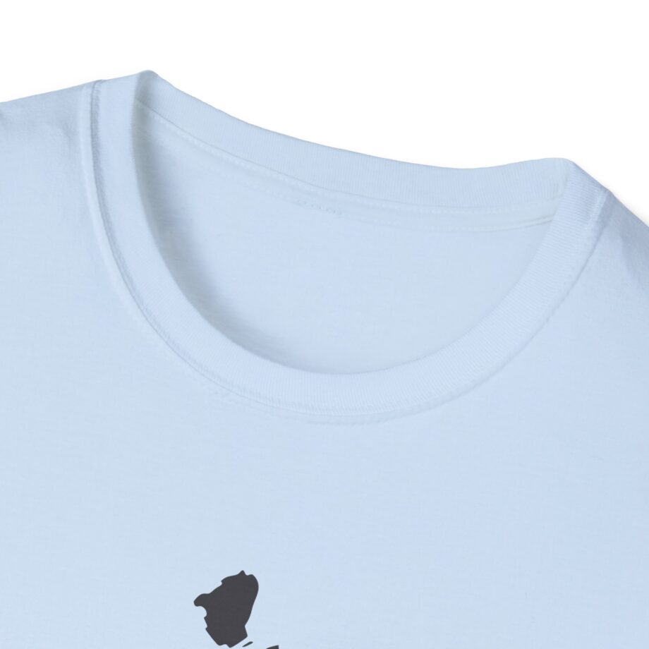 Raye M21cb Graffiti Album Unisex Softstyle T-Shirt