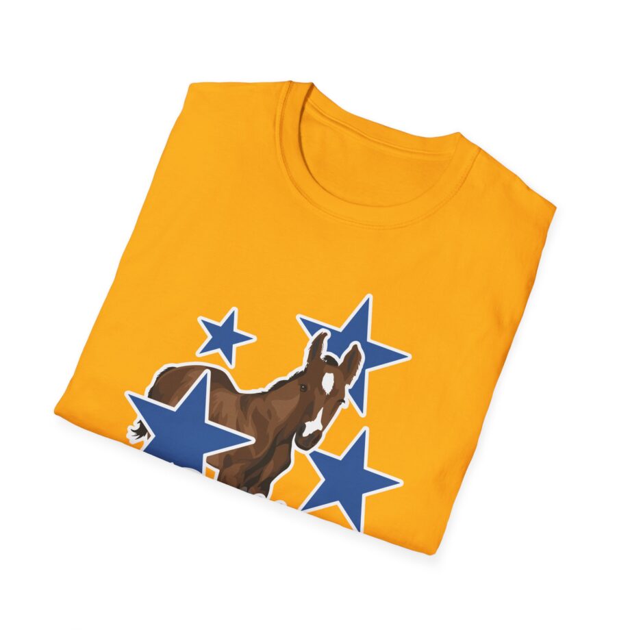 Katie Van Slyke Dallas Unisex Softstyle T-shirt
