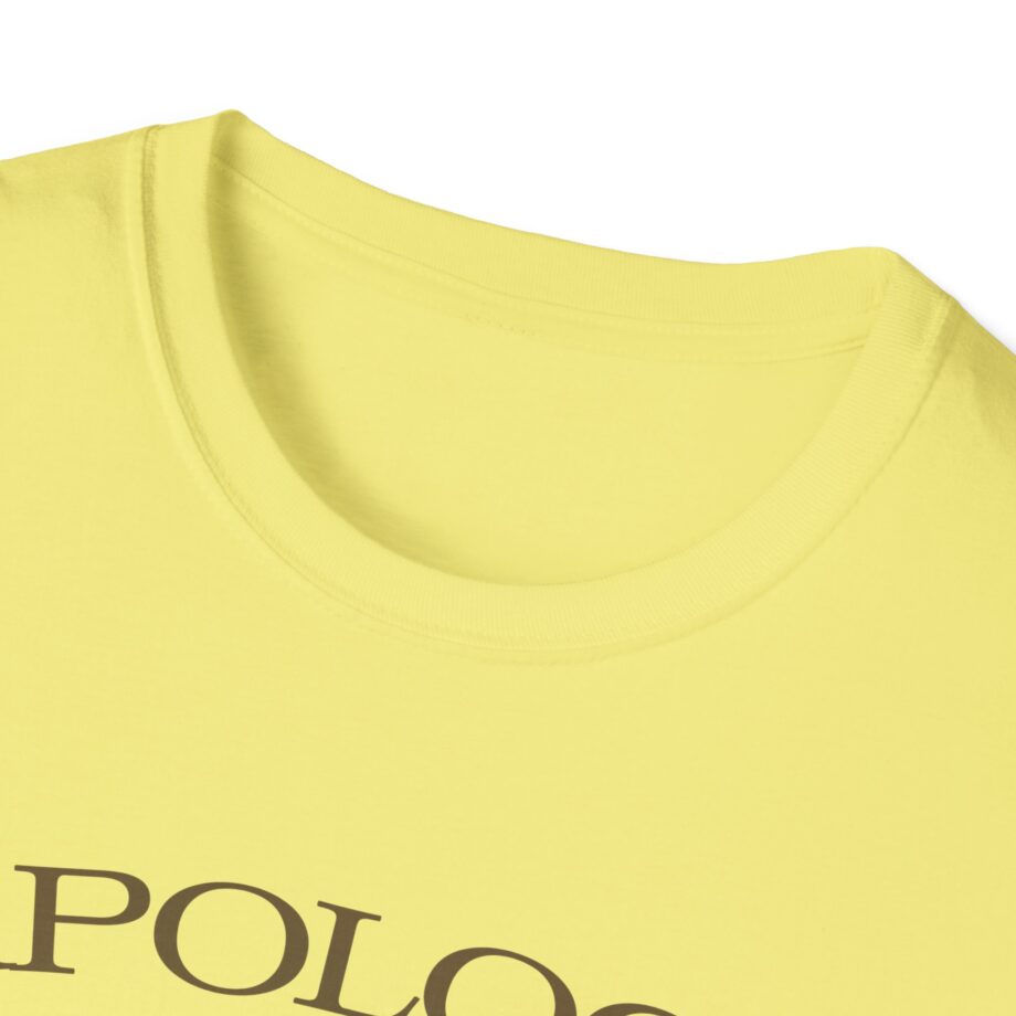 Wave to Earth Slchld 'apology' Na Tour Unisex Softstyle T-Shirt