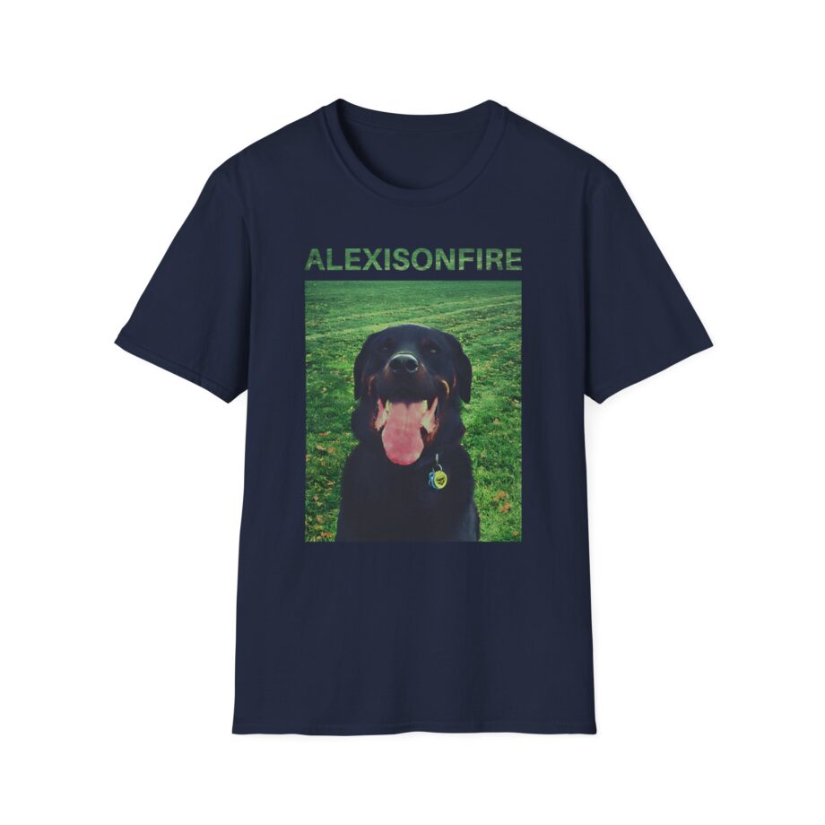 Alexisonfire Brixton Unisex Softstyle T-shirt