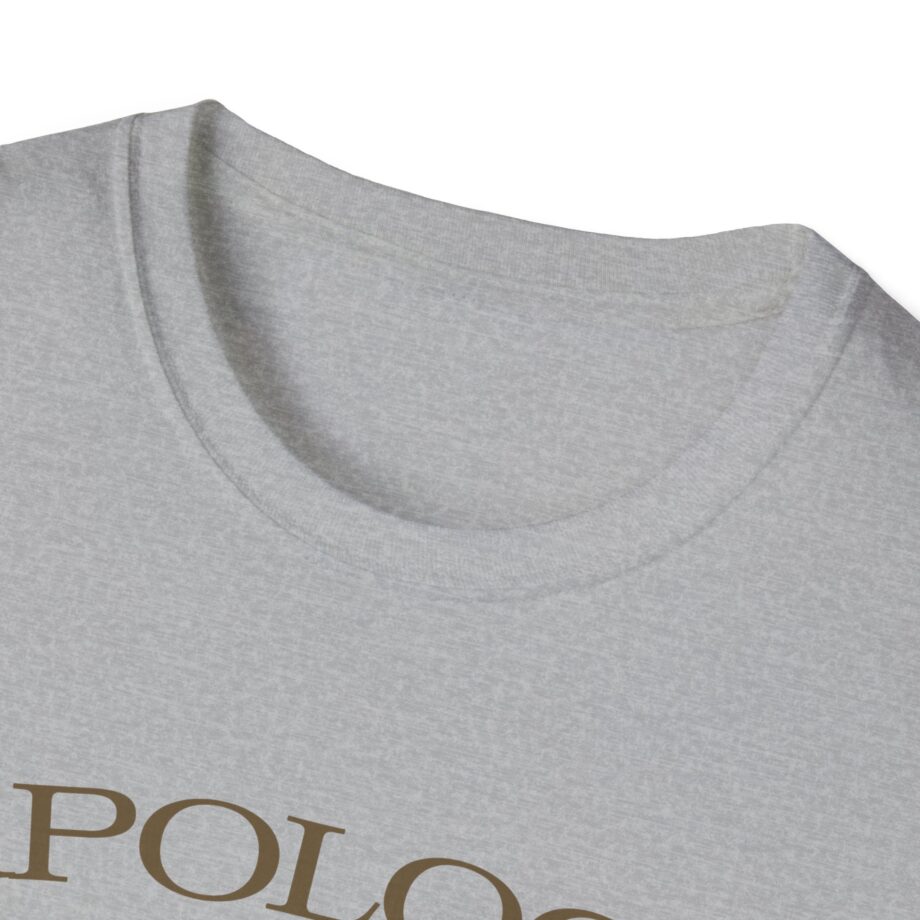 Wave to Earth Slchld 'apology' Na Tour Unisex Softstyle T-Shirt