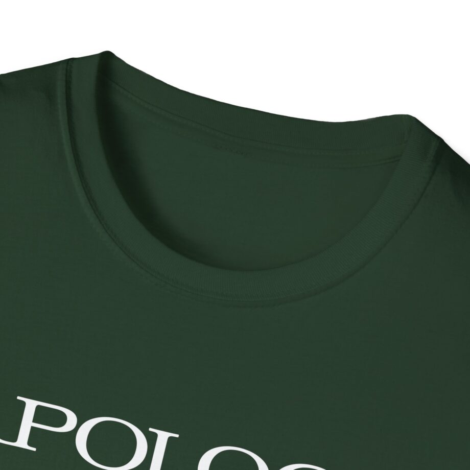 Wave to Earth  Unisex Softstyle T-Shirt