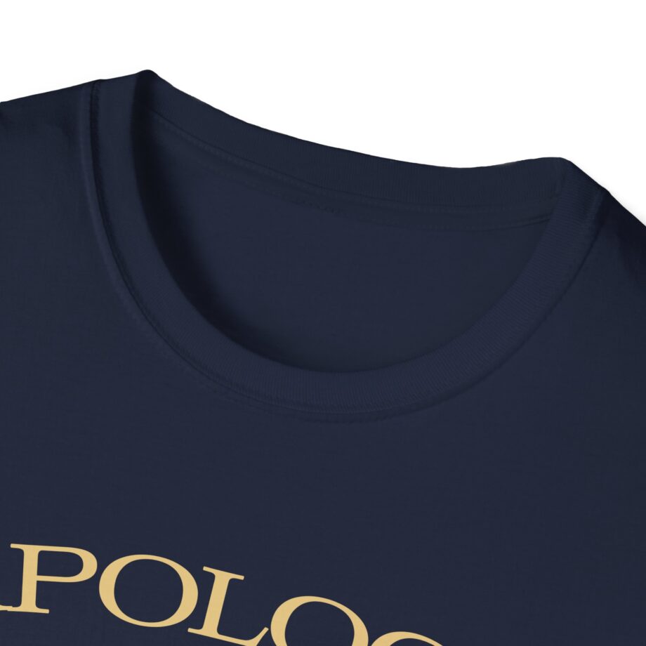 Wave to Earth Slchld 'apology' Na Tour Unisex Softstyle T-Shirt