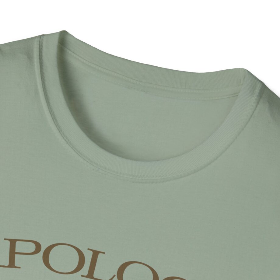 Wave to Earth Slchld 'apology' Na Tour Unisex Softstyle T-Shirt