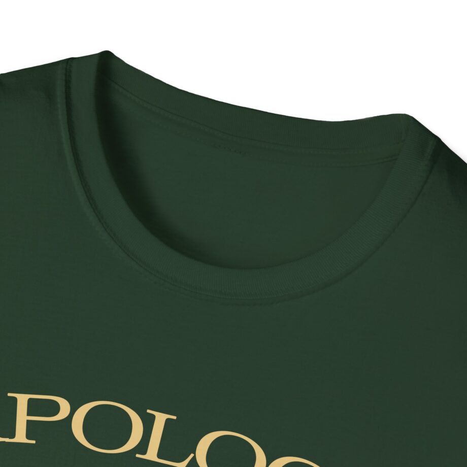 Wave to Earth Slchld 'apology' Na Tour Unisex Softstyle T-Shirt