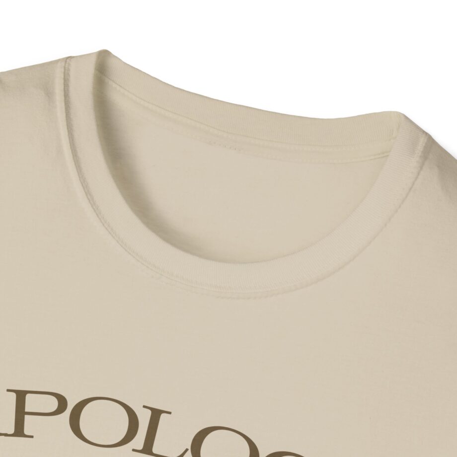 Wave to Earth Slchld 'apology' Na Tour Unisex Softstyle T-Shirt