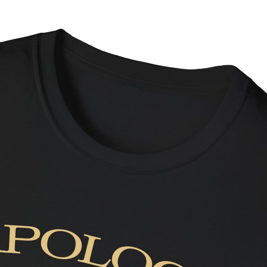 Wave to Earth Slchld 'apology' Na Tour Unisex Softstyle T-Shirt