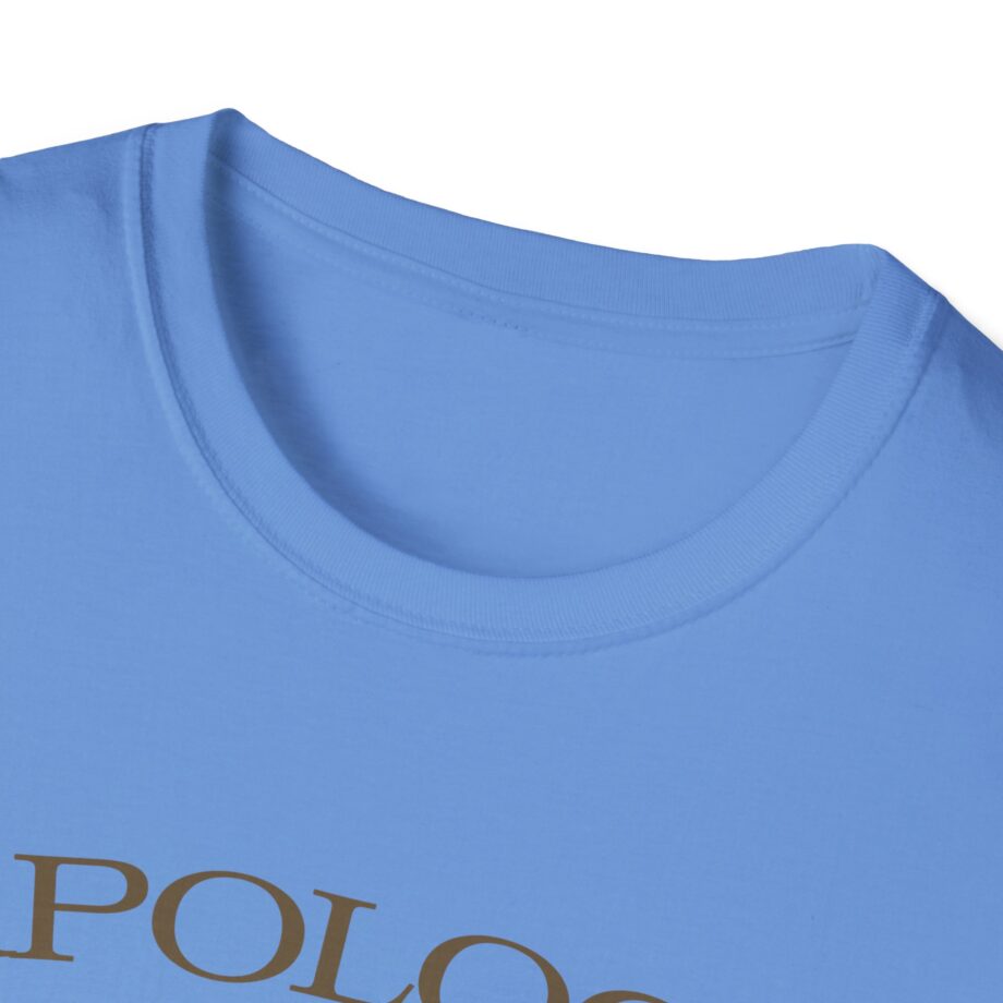 Wave to Earth Slchld 'apology' Na Tour Unisex Softstyle T-Shirt